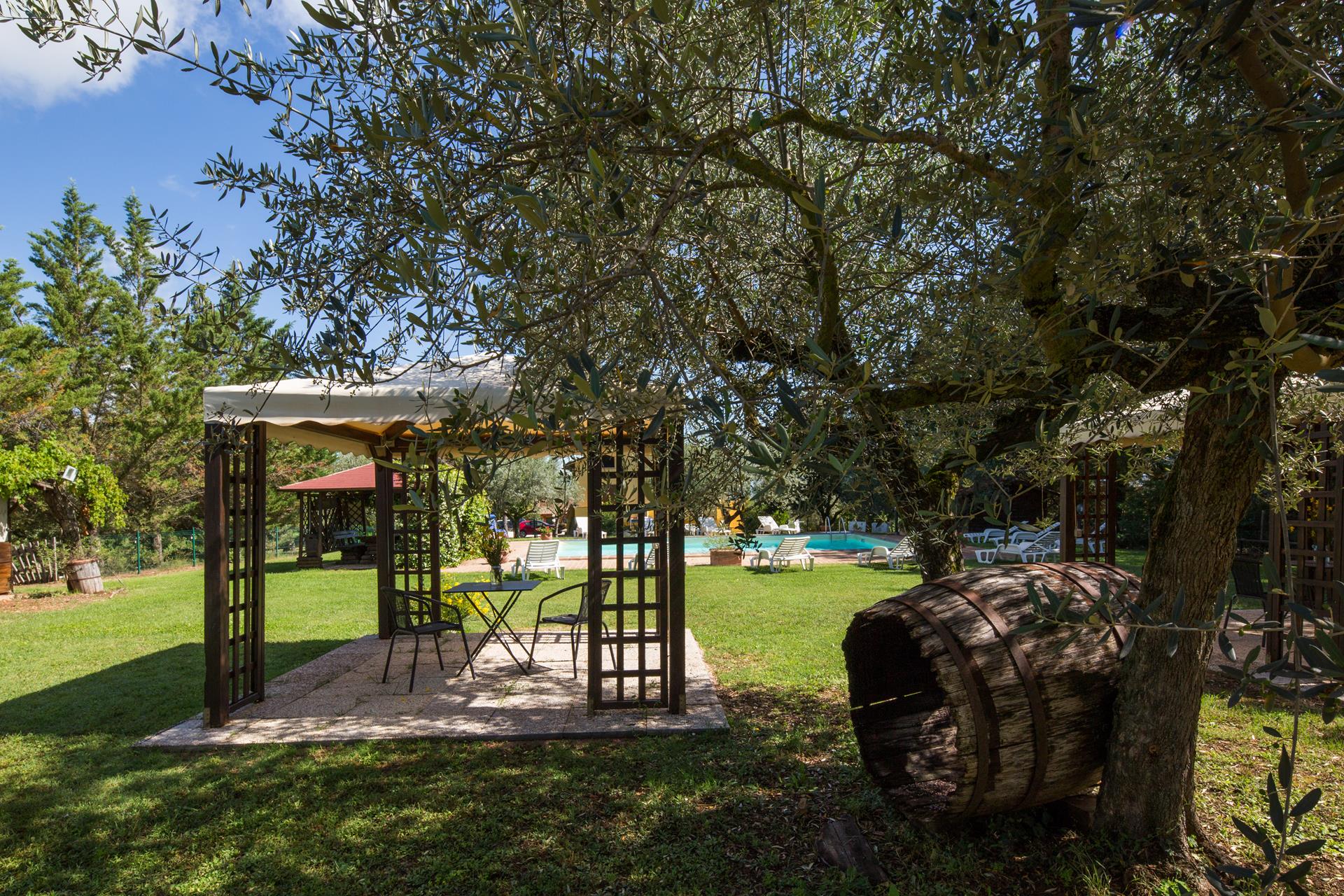 piscina nel parco con sdraio e gazebi a disposizione degli ospiti