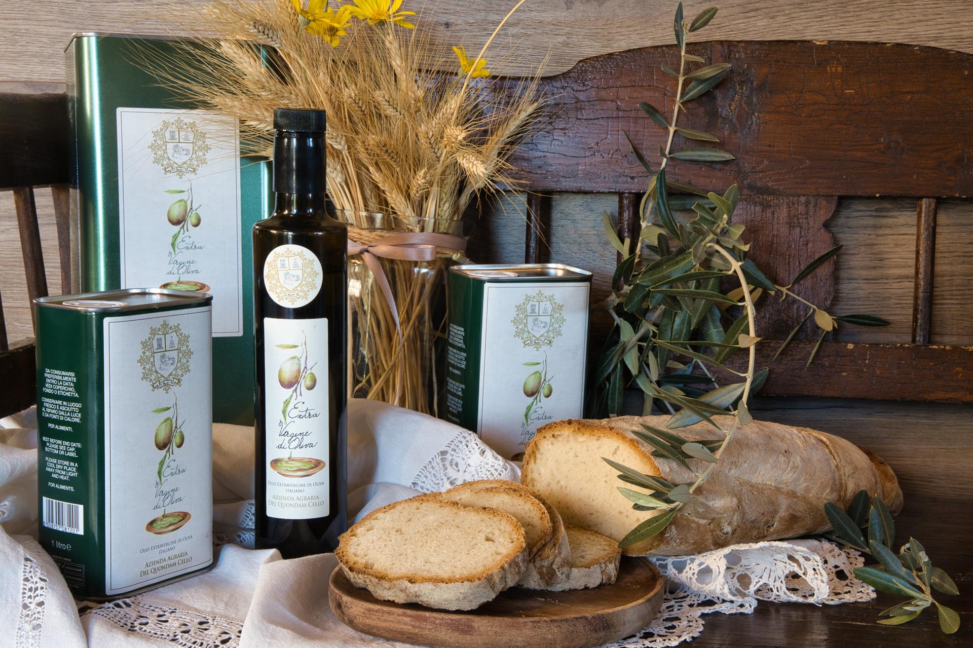 produzione di olio fattoria del quondam